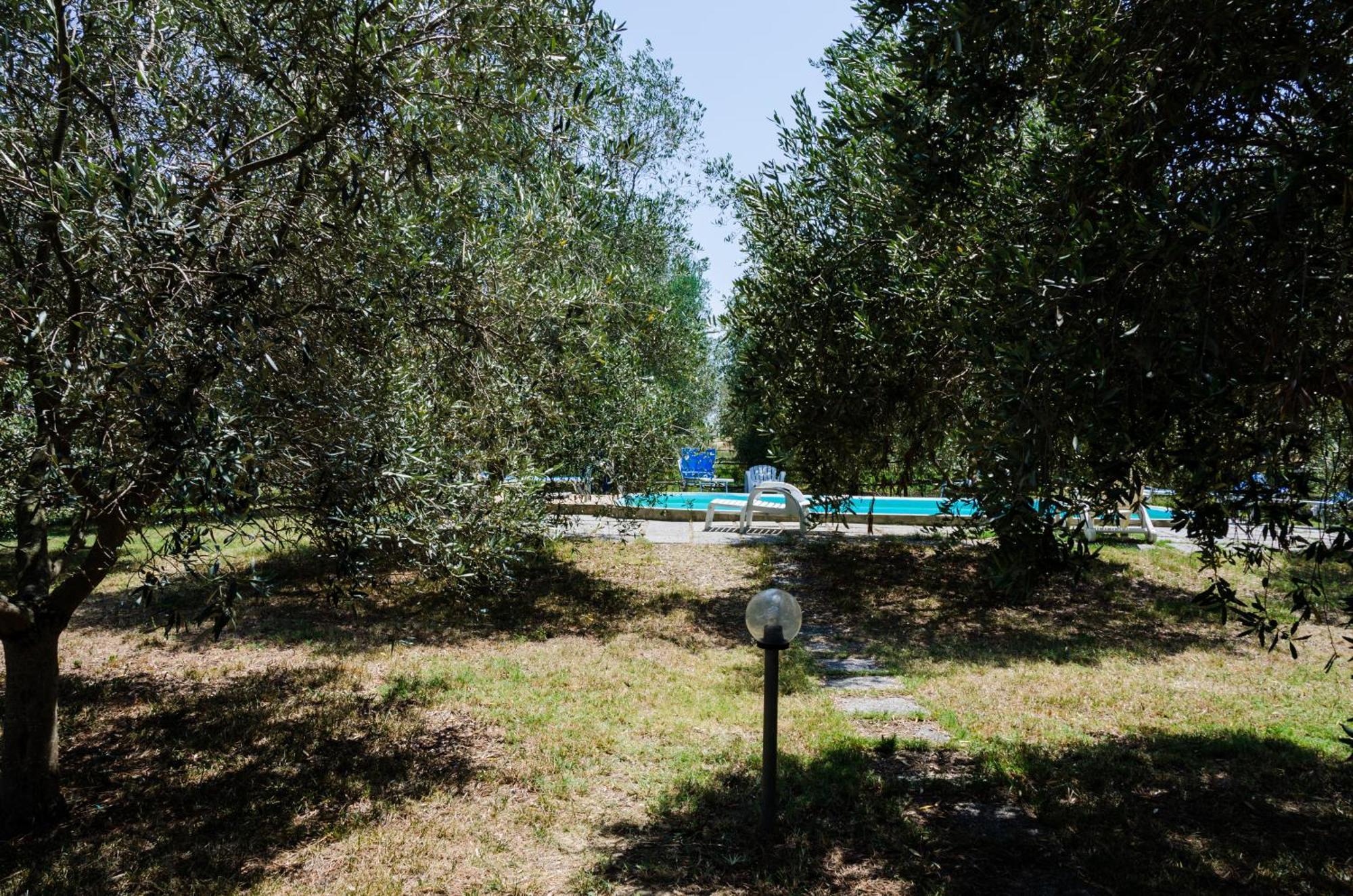 Agriturismo La Fragolaia Marina di Grosseto Exterior foto