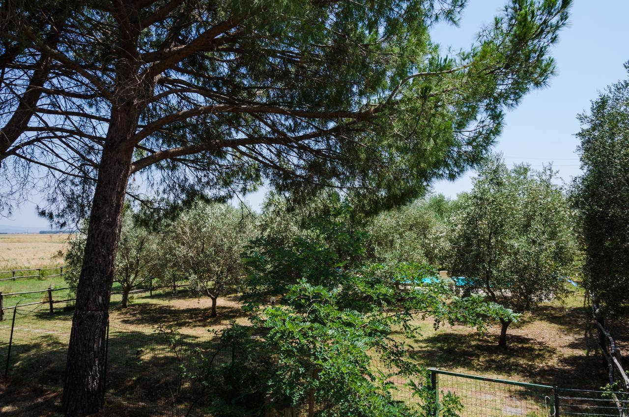 Agriturismo La Fragolaia Marina di Grosseto Exterior foto